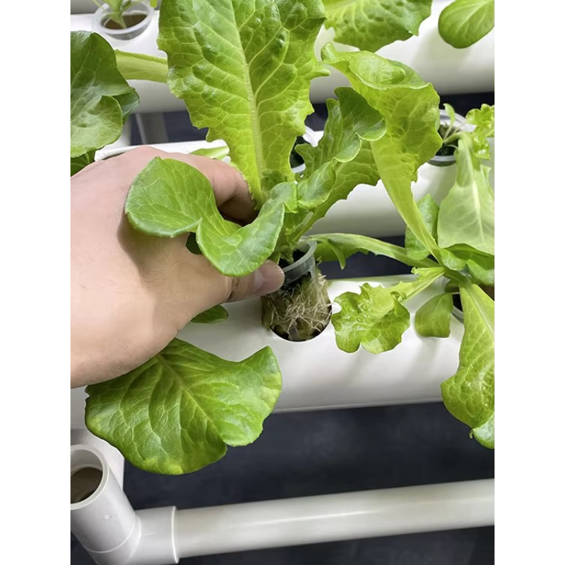 108 Delikli Hidroponik Yetişti - Aquaponics Home Kit incelemesi ve fiyatı