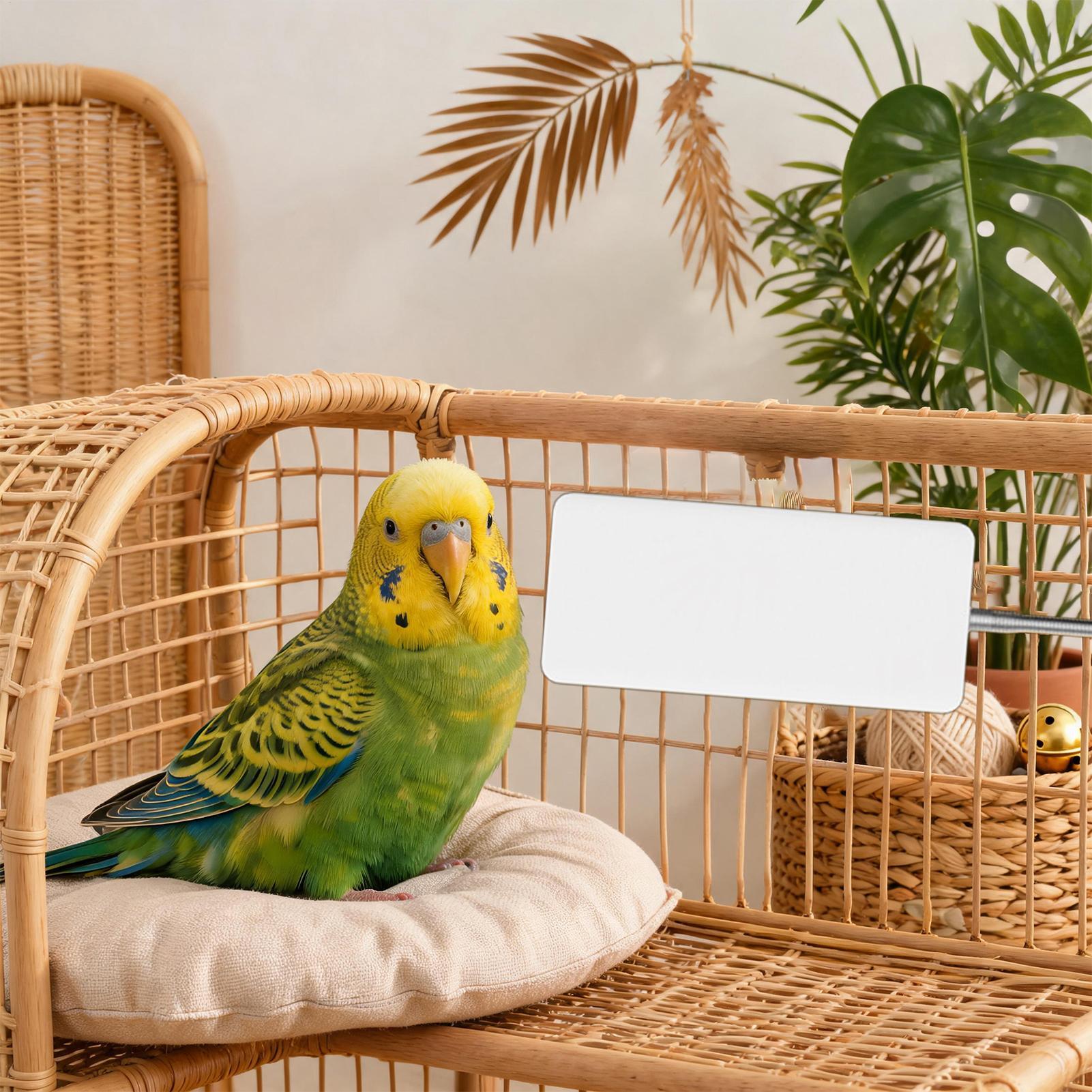 Kuş Isıtıcı 5V Güvenli Pet Kış - Smart Garden Bird Bath incelemesi ve fiyatı