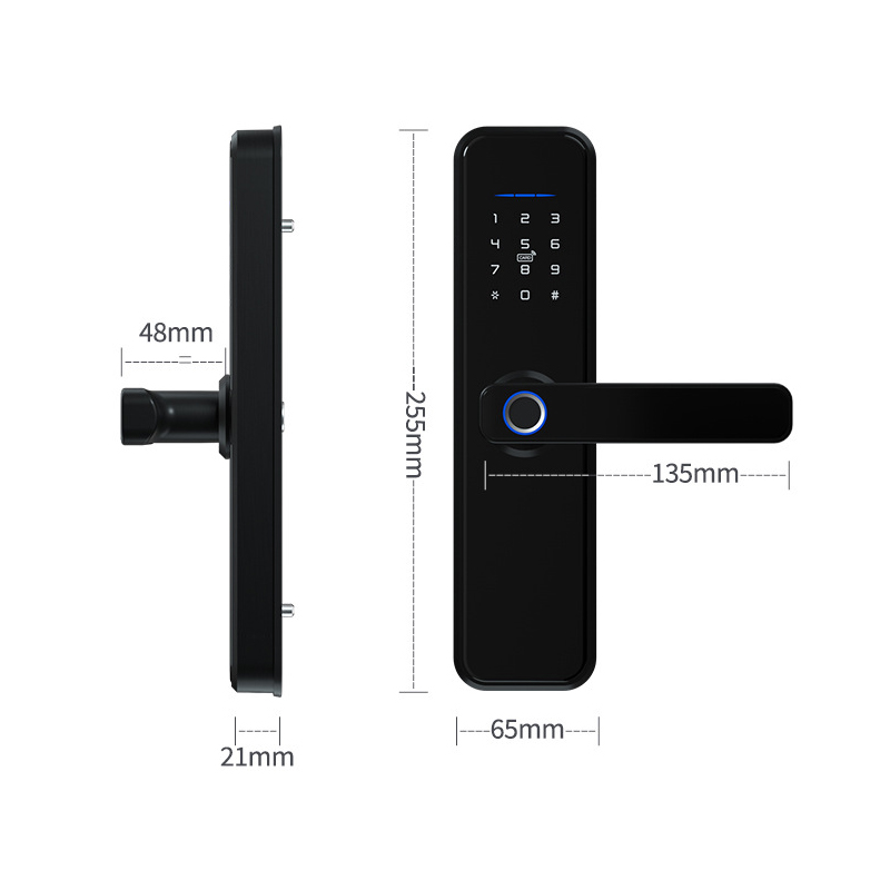 RAYKUBE X5 gümüş akıllı kilidi - Smart Garden Door Lock incelemesi ve fiyatı